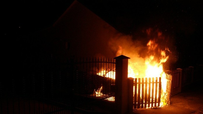 Sadeničky bavlníka na Mesiaci v dôsledku lunárnej noci zmrzli.
