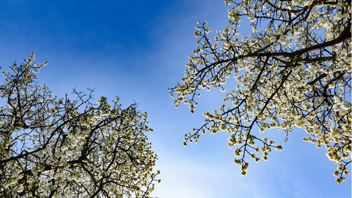 Ilustračná snímka.