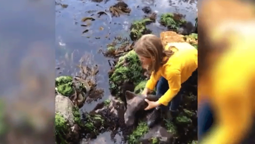 Ústavnoprávny výbor odobril všetkých sedem kandidátov na šéfa GP.