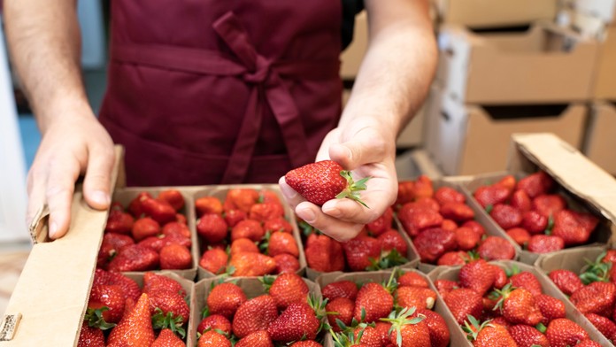 Jahody sú mimoriadne náchylné na pesticídy. Jednoduchým testom zistíte, či sú vhodné na jedenie