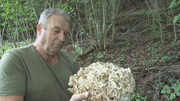 Hubár Peter Morjak.