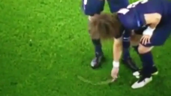 luiz.png