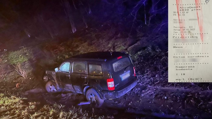 Nafúkala dva a pol promile. Mladá vodička spôsobila v Povine nehodu