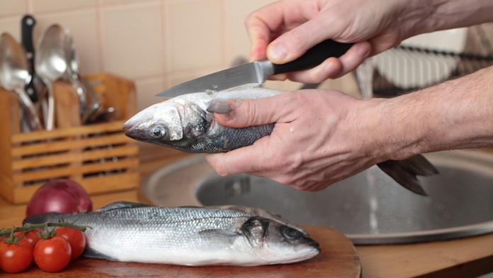 ryb_oprava_markiza_sk_bez_loga.mp4