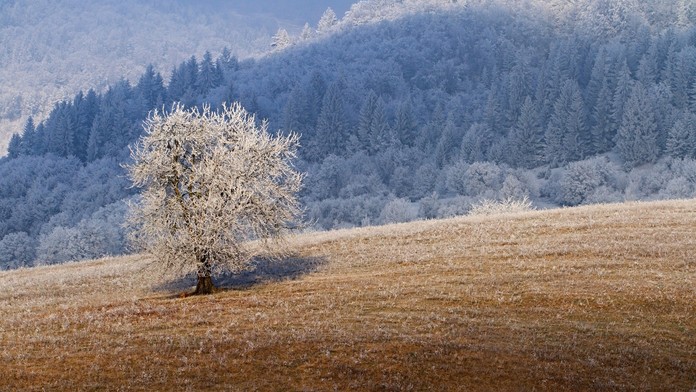 S0000428715_2017_12_16_vianocnazamena-HD-TP.mp4