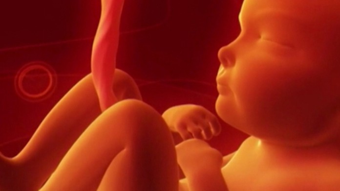 19 BB Ako otehotniet.transferweb_jpg_bez_watermarku_1.jpg