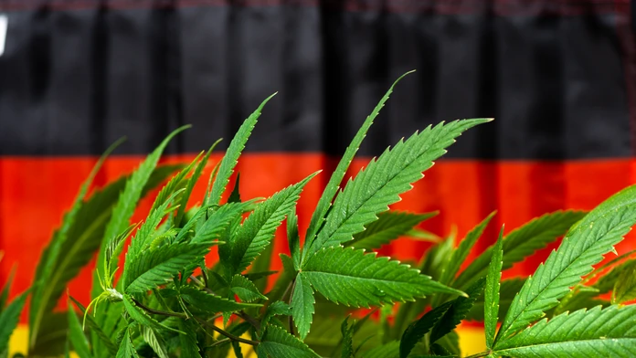 Nemecko od apríla zlegalizuje rekreačné užívanie marihuany