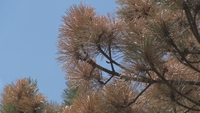 Hasiči pomáhajú záchranárom odniesť Mariána, ktorý spadol do šachty.