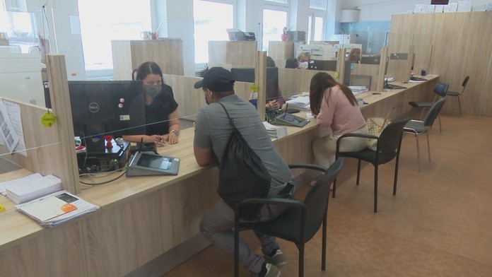 Kôry zbavené a postupne odumierajúce stromy.