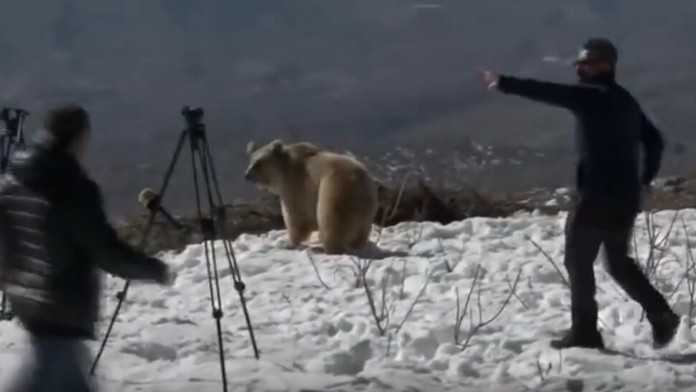 Alpská lyžiarka Petra Vlhová v cieli super-G na MS v Cortina d'Ampezzo.