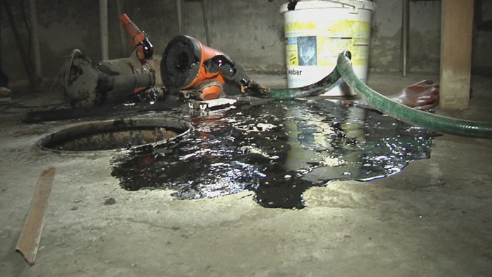 Dominika Chrapeková