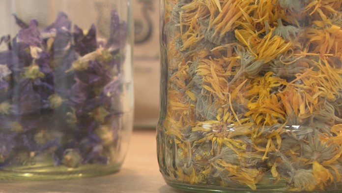 Neplodnosť sa dá liečiť aj bylinami. 