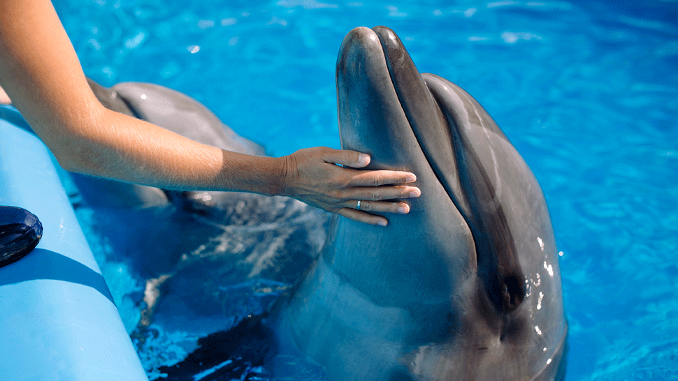 Luboš a Štěpán Mrázoví