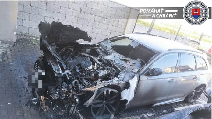 Mužovi sa podarilo vypestovať šesťmetrovú slnečnicu 