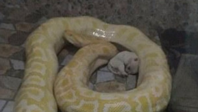 Ilustračná snímka.