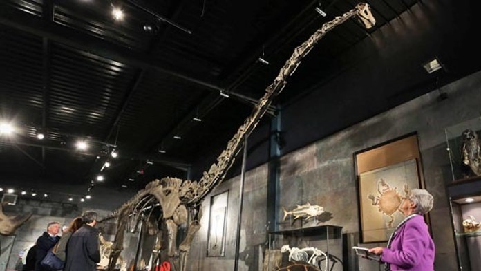 Britain_Dinosaur_Auction-1747bd0faf02481cbe76dcb26fd0082b.jpeg
