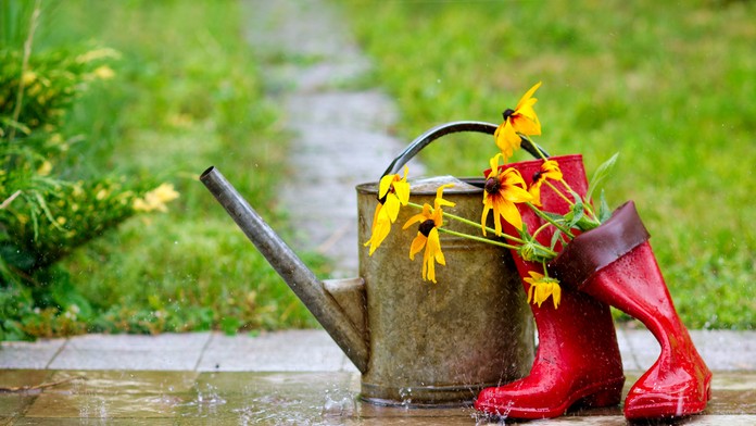 Daždivé počasie - ilustračná snímka