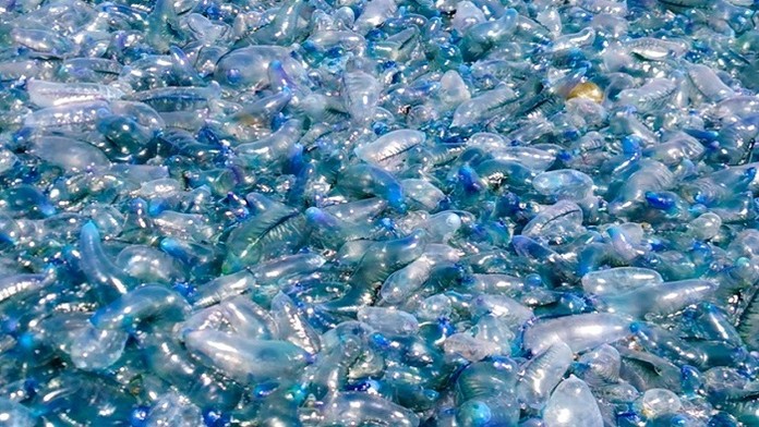 Braňo Deák a Dominika Rošková