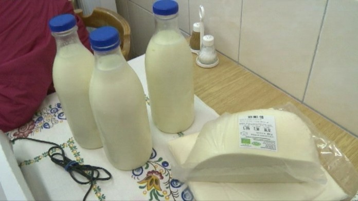 19 PP Bryndza a klieste.transferweb_jpg_bez_watermarku_1.jpg