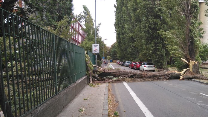 Padnutý strom na Metodovej ulici v Bratislave