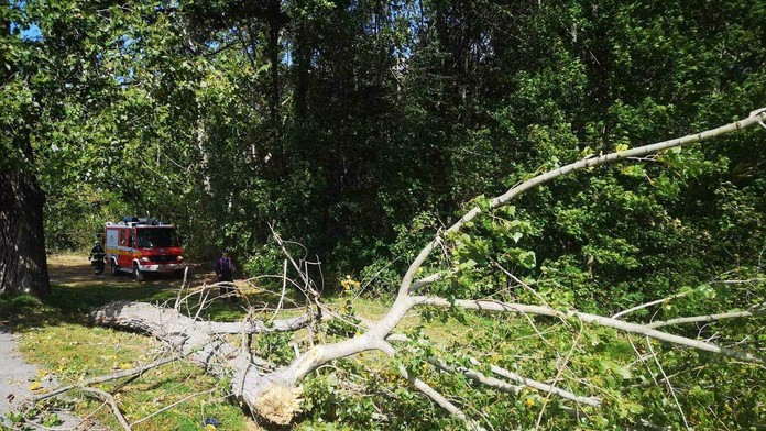 Vydieral 14-ročné dievča zo stredného Slovenska. Pred webkamerou robila to, o čo ju žiadal 