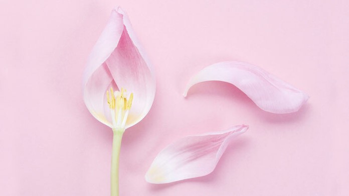 ilustračná snímka