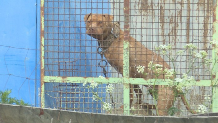 Ilustračná snímka.