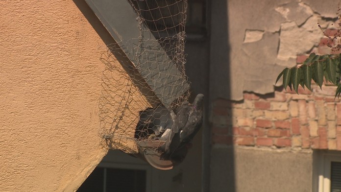 Zásah polície v bieloruskom Minsku počas prezidentských volieb.