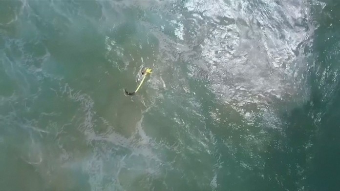 Veľtrh gastronómie Danubius Gastro sa uskutoční v dňoch od 25. do 28. januára. 