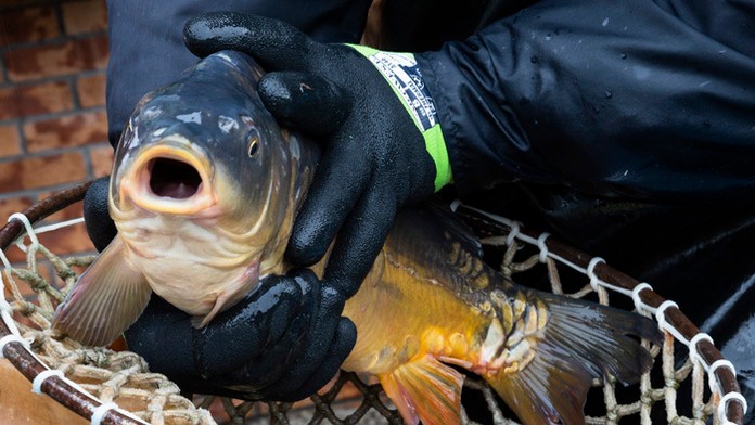 Deti a ich Oteckovia