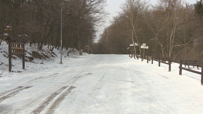 SHMÚ: Poľadovica bude od pondelkového večera až do utorkového rána na celom Slovensku