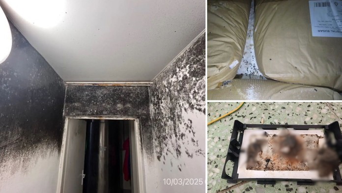 Objavy inšpektorov v potravinách. 