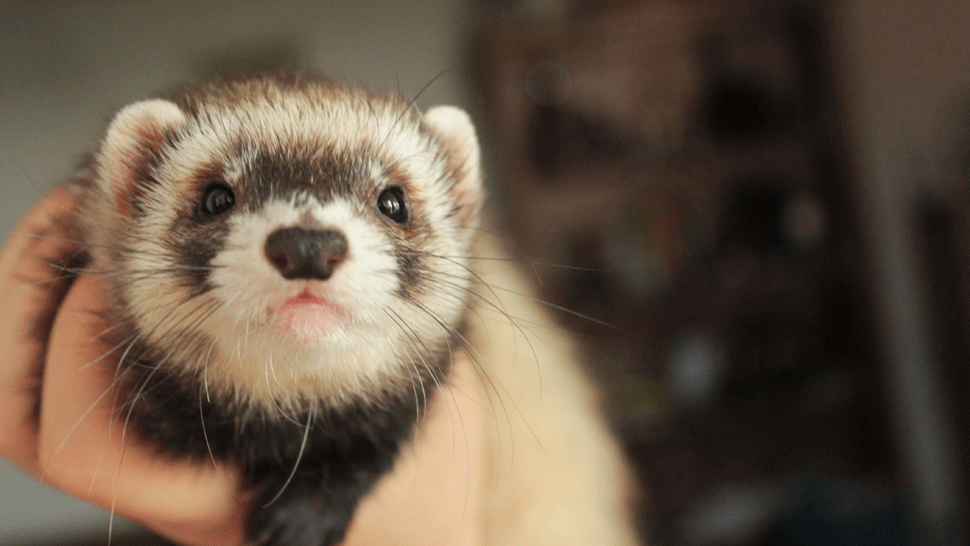 Luky (Oliver Oswald) v prvej epizóde Oteckov