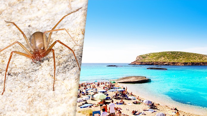 Ilustračná snímka