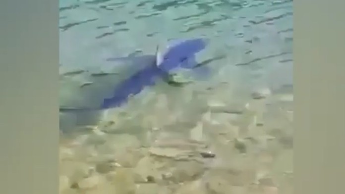 Braňo Deák s otcom Dušanom