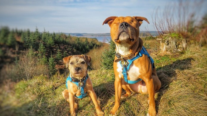 1_reichel_zemba_tvnoviny.mp4