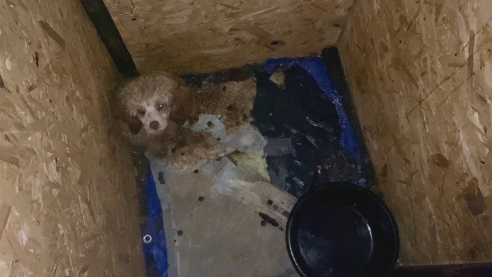 Boris Kollár nám ukázal, ako mu prispôsobili sako.