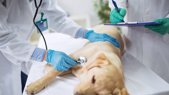 Kuchyňa s jedálňou je súčasťou apartmánov pre olympionikov.