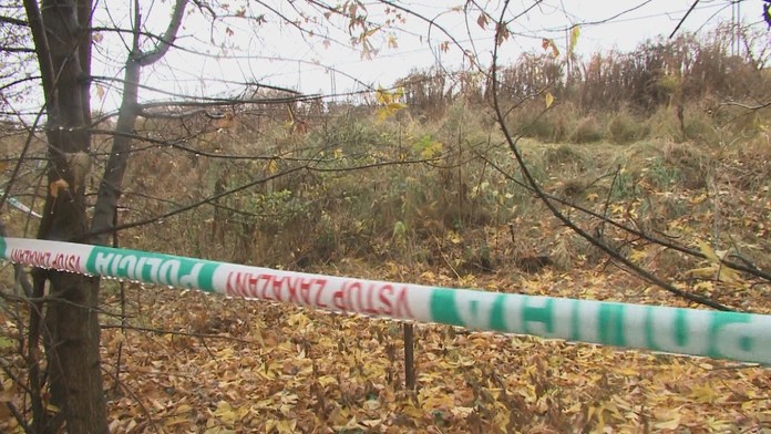 Ilustračná snímka