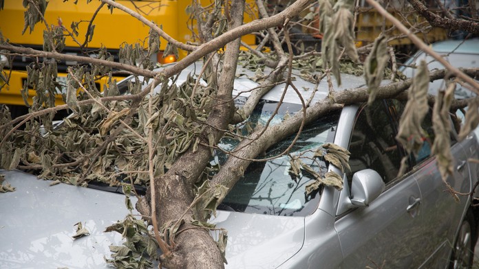 Ilustračná snímka