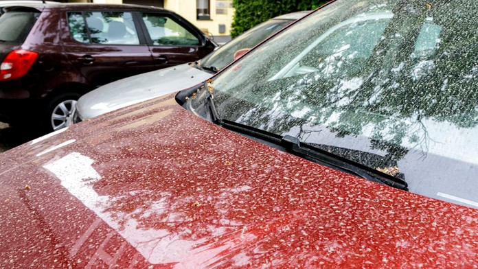 Auto si ani nemusíte umývať. Slovensko opäť zasiahne saharský prach