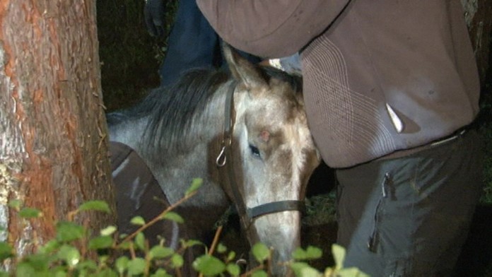 Žriebä vytiahli zo studne.