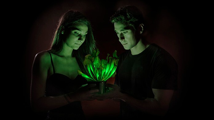 Rastlina svietiaca v noci