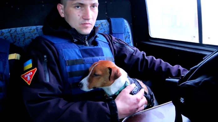 Psí hrdina z Ukrajiny: Vyhľadal už viac ako 90 ruských mín a zachránil mnoho životov