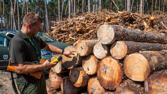 Sumy za palivové drevo od nového roka rapídne stúpli. Toto je prehľad cien podľa regiónov