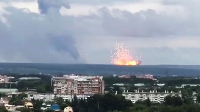 Samica strehúňa južného - Hogna radiata.