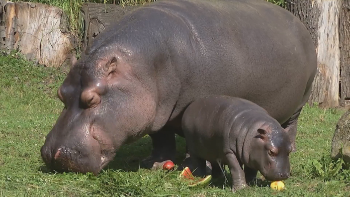 Štátny podnik na výrobu plastových okien