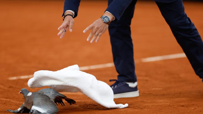 Rozhodca musel na Roland Garros riešiť aj netradičnú situáciu.