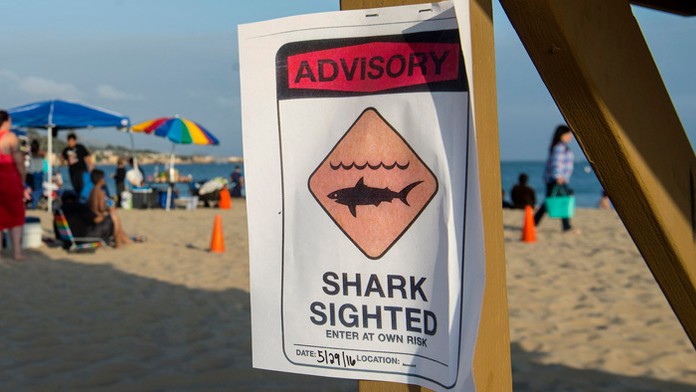 Surfera pohrýzol žralok.