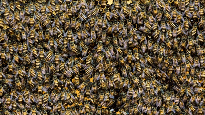 James Lawrence (Wales) a maďarskí futbalisti Willi Orbán (vpravo), Máté Pátkai (druhý sprava) bojujú o loptu.